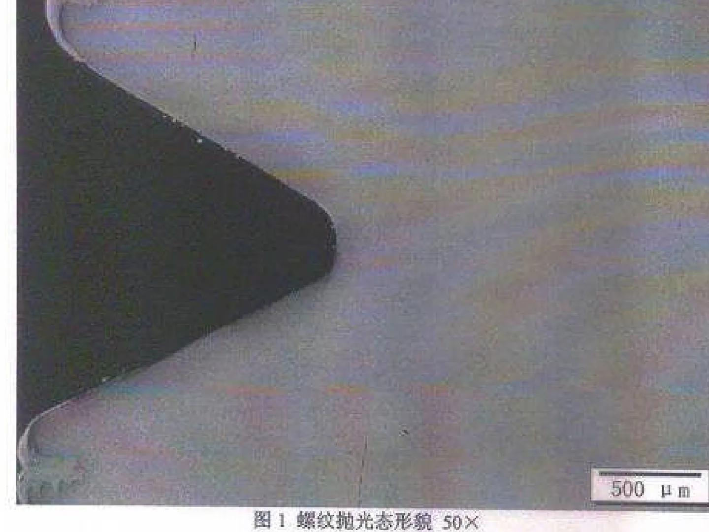 Micrograph of the rolled thread profile at 50x magnification from the third-party metallographic report